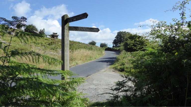 Brimham Rocks Moorlands and Meadows Walk section 4, Yorkshire